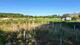 Чудесный земельный участок 54 сотки у живописного озера под Псковскими Печорами